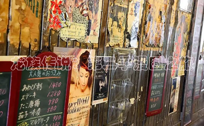 51动漫官网官方进入版本网页在线